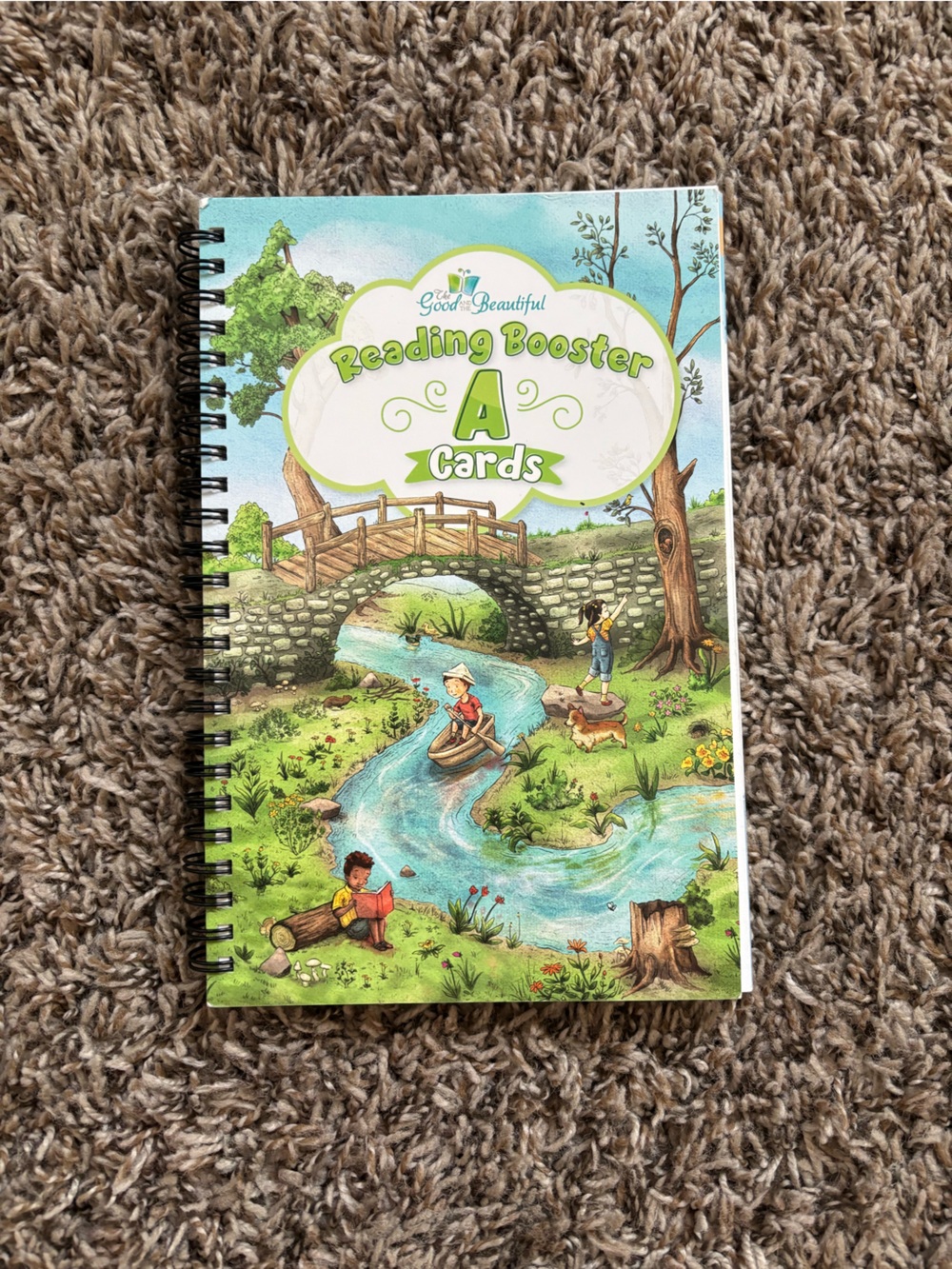 USED- The Good and The Beautiful Reading Booster A Cards